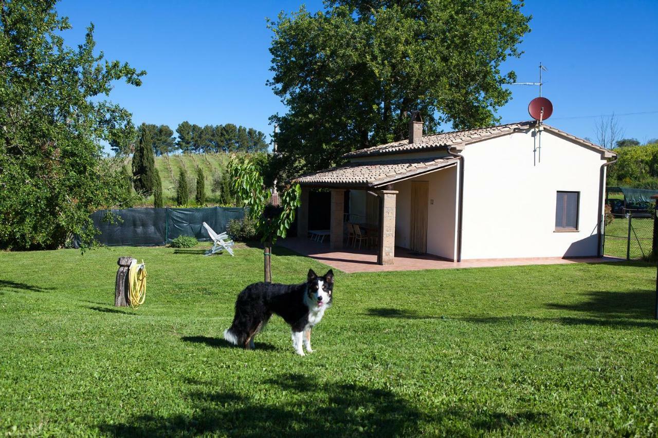 Vila Casa Marta Pitigliano Pokoj fotografie
